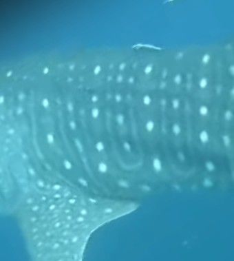 72e95057-1efc-41fe-93b2-655f28e4d699