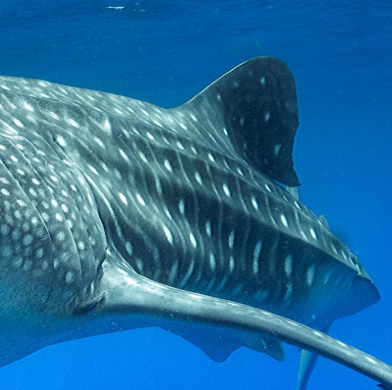 f7d301d0-d6db-4d67-941a-f4fe83ed29b1