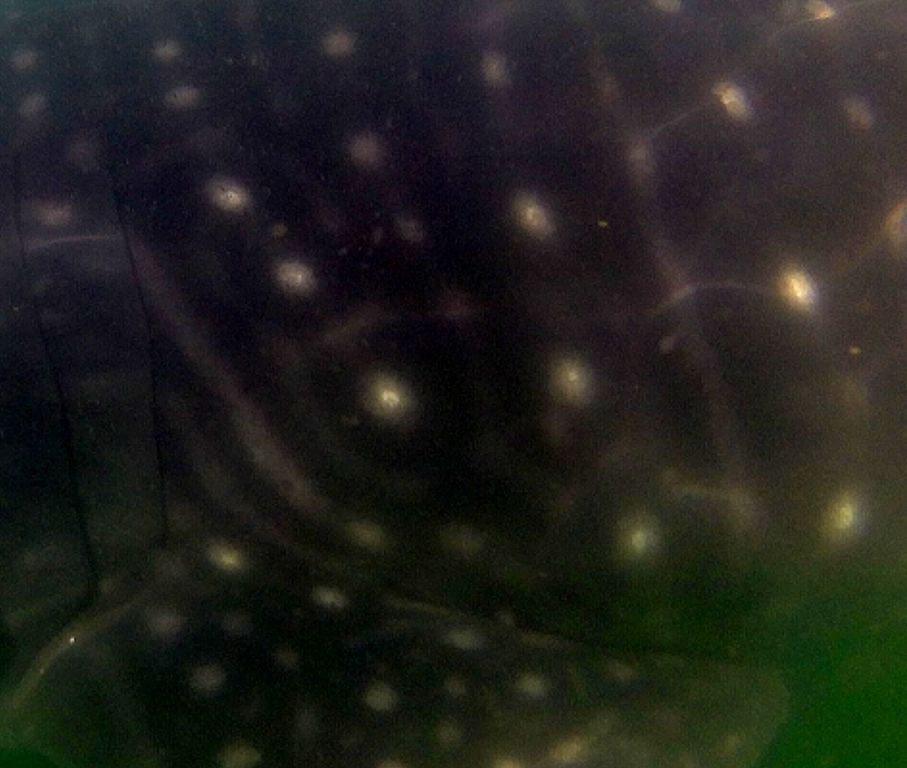 dc2b80fa-580b-4bfc-8de4-6bc3ace2878f