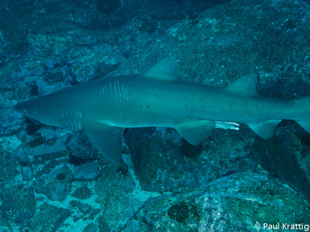 581cec62-5692-42d8-9870-5876a5e0ab18