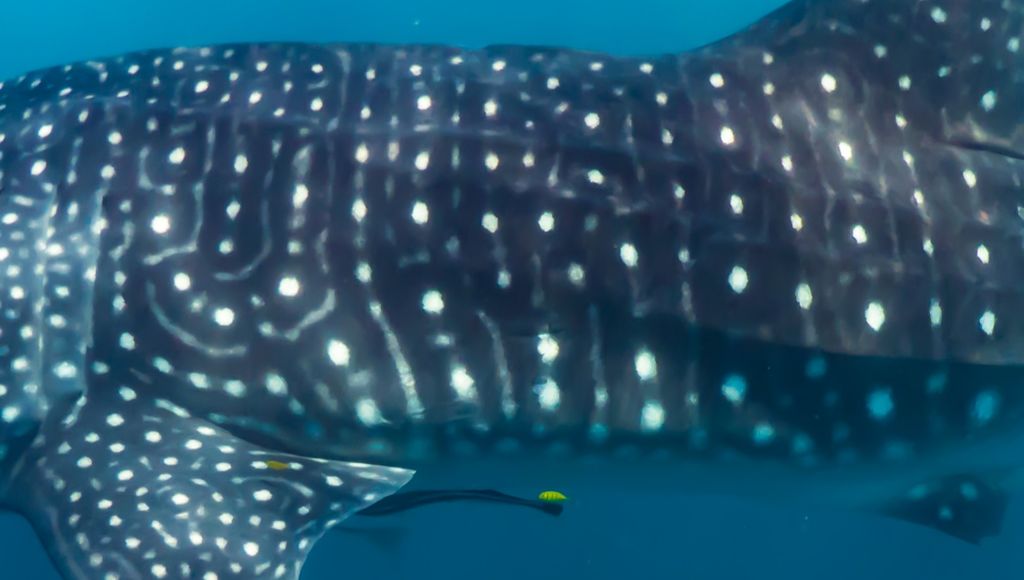 854cf81b-e6e8-4370-b95a-361129199fb1