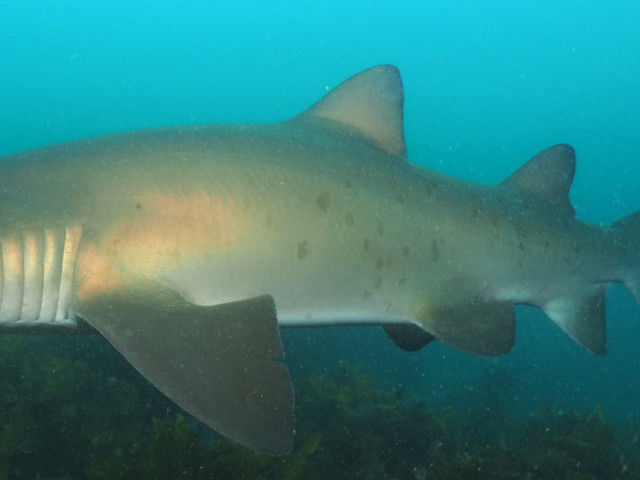 e9a895d2-b298-4fb9-97de-472acb93e6d0