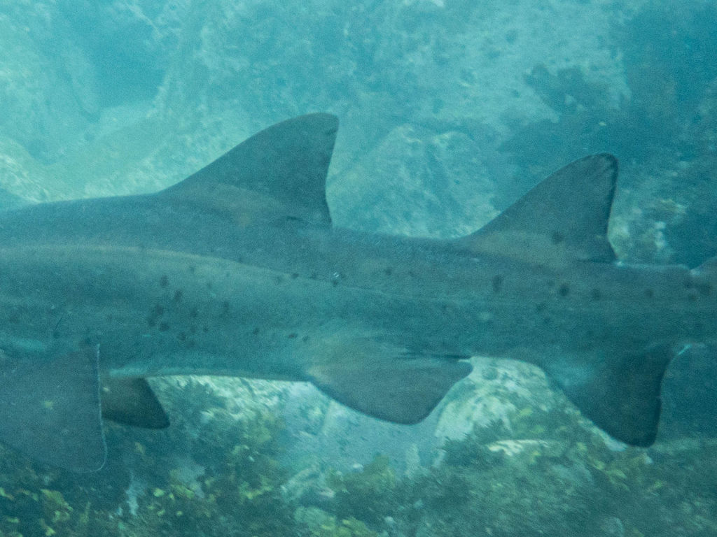 335b6de0-5625-4fb6-a7af-e7291887cfca