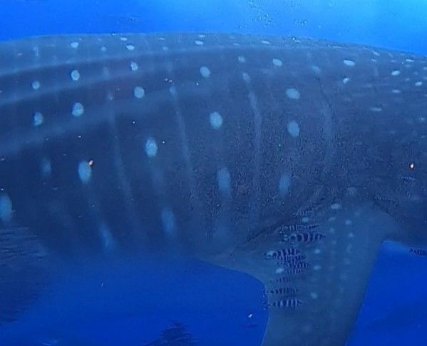 baf1d5db-b2a0-482c-adf3-4347c813443b