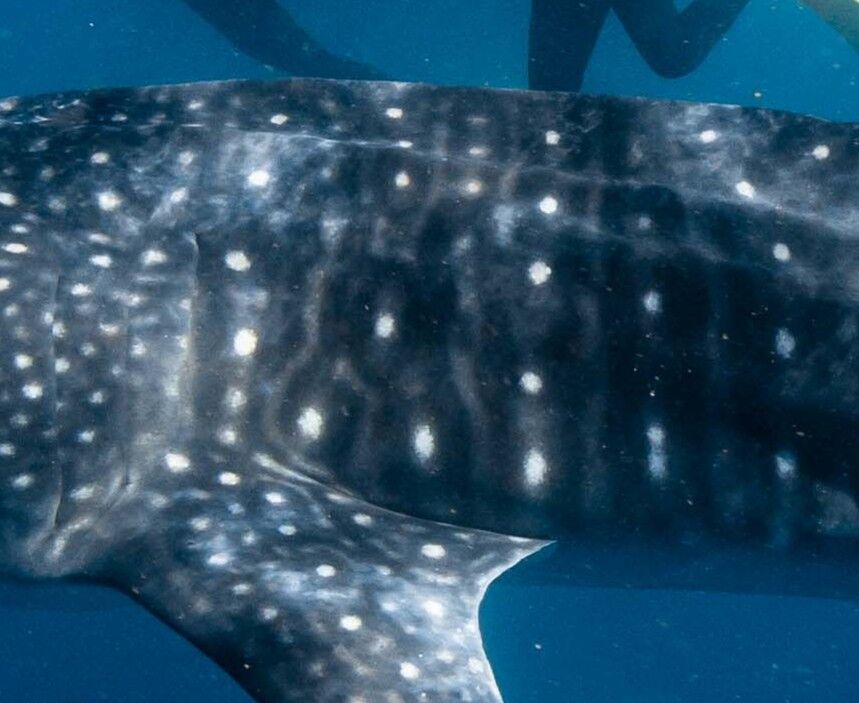 fd213d89-e27b-4087-8148-bac9b534f2cd