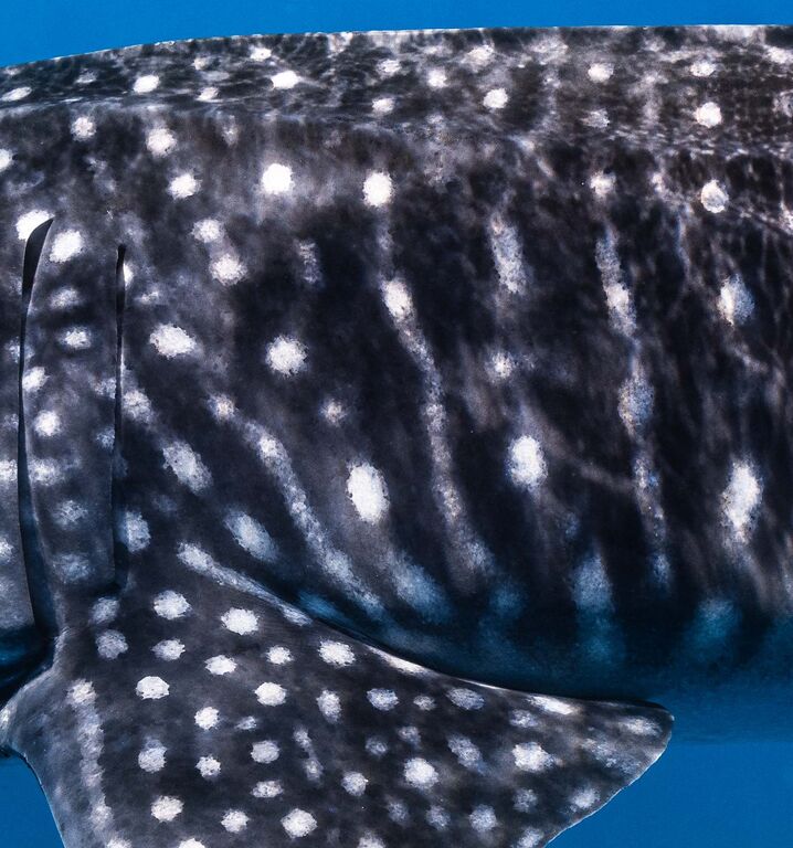 35761845-e84e-479d-b71e-b58017253525