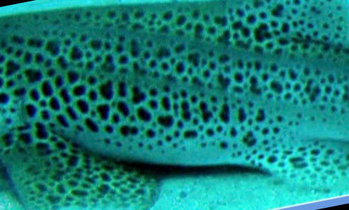 4e07de80-6721-46de-b22c-87907b6969e3