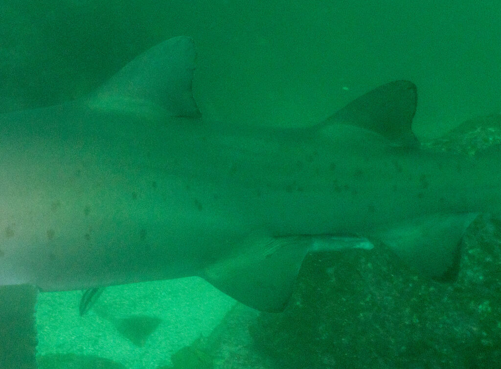 c2e2da64-e451-4cca-916b-53006642014c