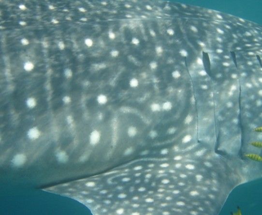 495c501b-389f-4c62-9f2b-023ee8e68a21