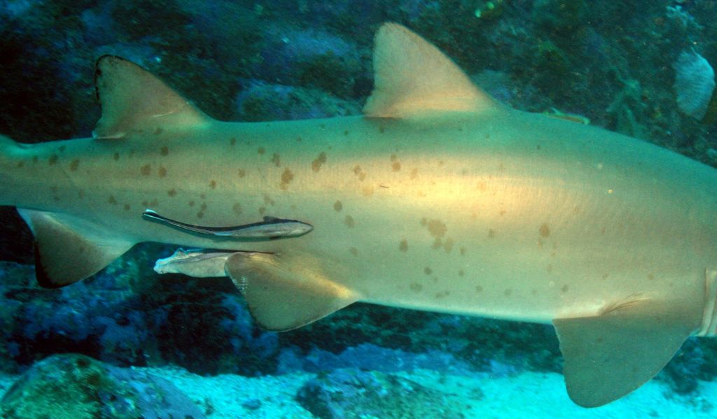 34bc83b2-8fdd-4deb-9955-687acc269c3a