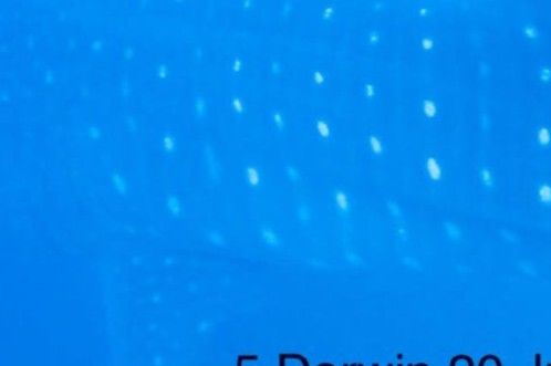 23e97387-2eb6-44ef-97cd-93bc6cfbe260