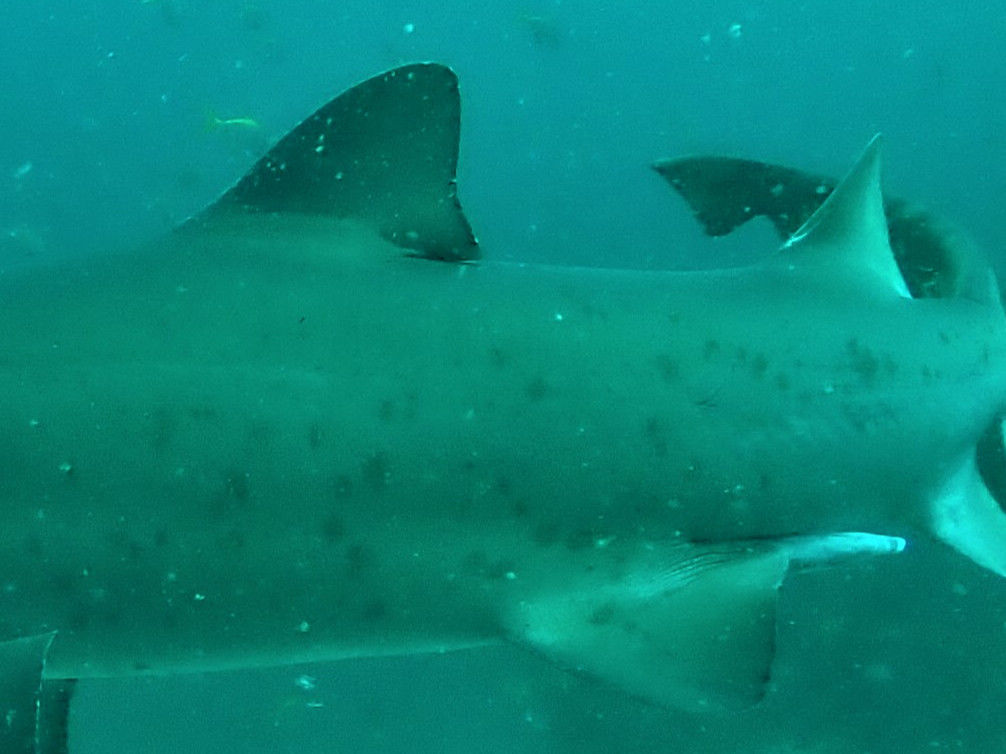 af83e204-5994-4191-9d3b-a2f408b4ea5d