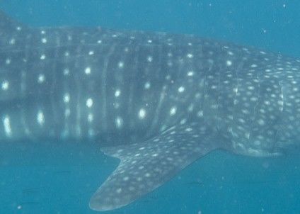 b2a6a114-95f5-417a-b511-50f3a3c9afdc