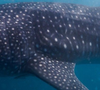 e4f77fe0-b5fe-4c81-b746-3778a469bad1