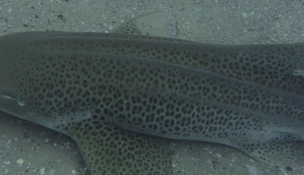 0900acb2-c79b-4886-a2e7-a80f66418da6