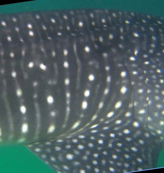 d2700546-54ae-478d-a997-7460e54e64c5