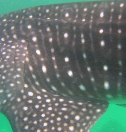 d2700546-54ae-478d-a997-7460e54e64c5