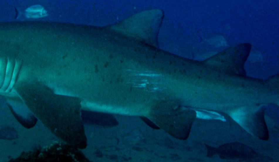 6cc3bf72-8fb3-4b5b-aa4d-6fb5bb837741