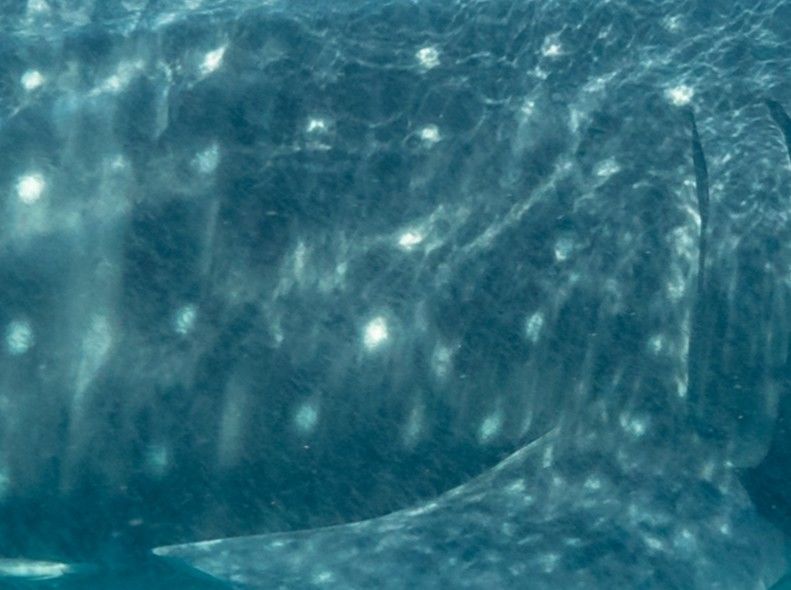 639720c7-af72-4408-8209-b46ae4582642