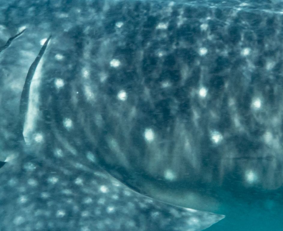 639720c7-af72-4408-8209-b46ae4582642