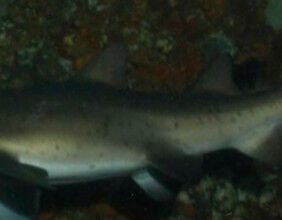 02343d4e-b897-4a41-a474-5bcf15148364