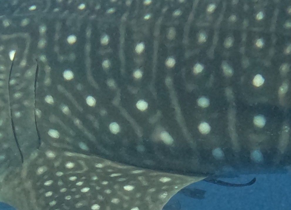 291b9b57-5d62-4eb0-bd1e-23edcf22b587