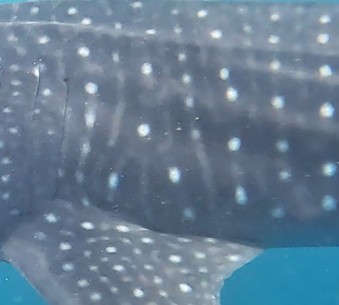 c1663500-b60d-4d12-92e1-af194c54f399