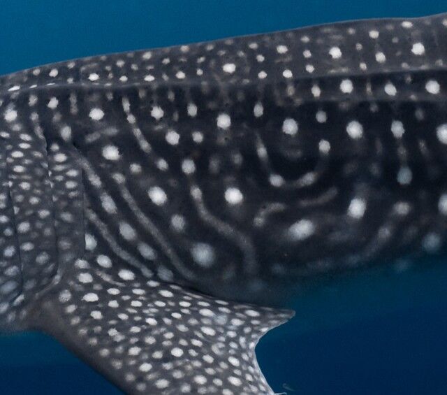 51231763-a54b-407c-9530-ec198af5cf10