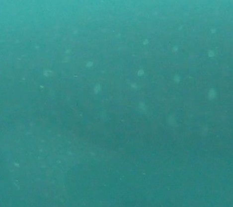 9a97f95b-65c1-41e9-a04c-8f7fd34527c2