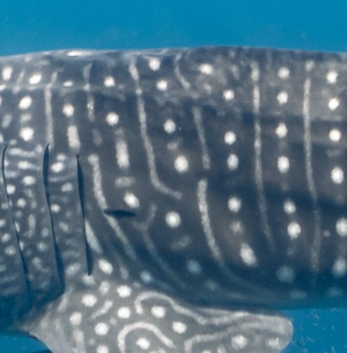 e65aeb3f-6582-4292-acc0-a4c36bb42e6c