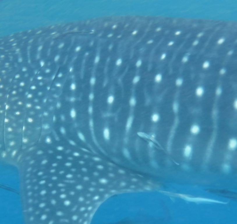 16aeb1a0-37bc-4610-b204-1aa070f6487f