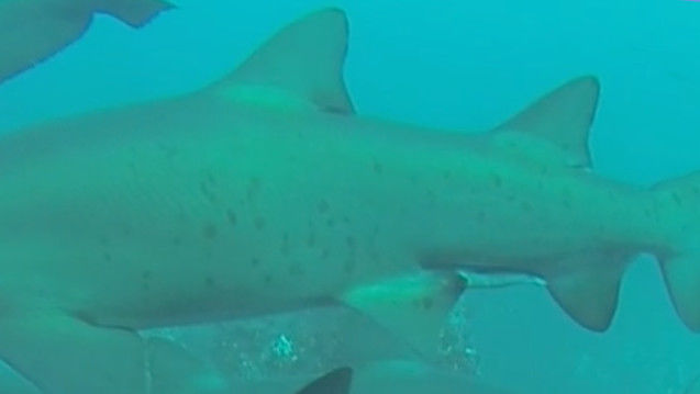 004a3b06-ef90-456b-8143-553ee41fc8c9