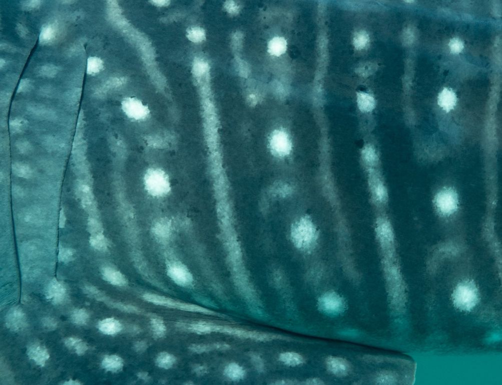 17df9821-a952-4ba5-8fe3-efb4f64f80e8