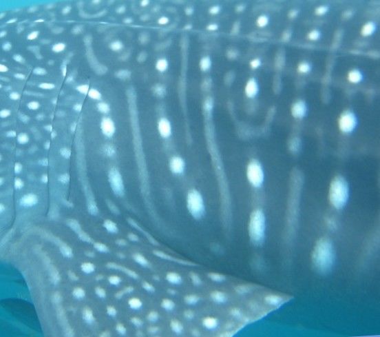 dbfc0907-1be3-4aeb-851b-49c5688b9e5a