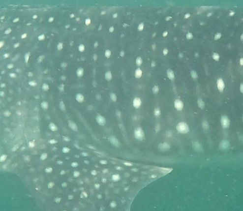 8504b7aa-1ada-46a6-bcf8-f56732e1bd6d