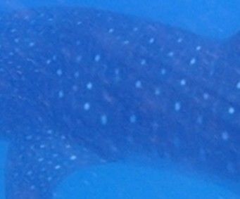 280cf3ab-e656-410e-a0c7-a7ce0ec3e6c5