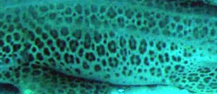 df1798a3-a115-4cdc-8448-65e78fa5eb80