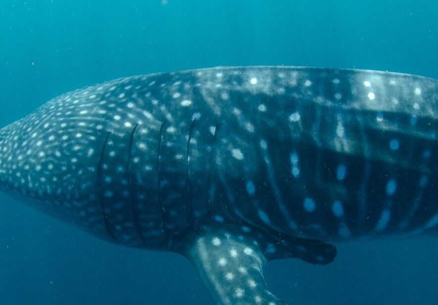 6bce0756-5836-410e-b233-1c70ae2bae1a