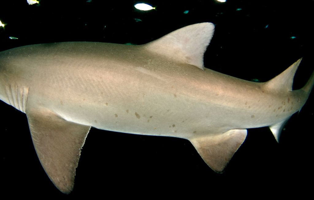 83ab0ebf-0877-4936-88d4-90123a536bc0