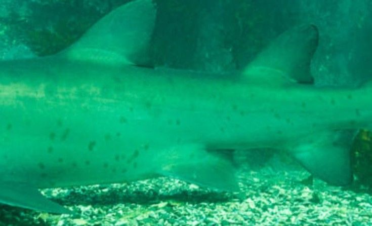 10c5ecef-6632-467a-8616-8e711818e3fd