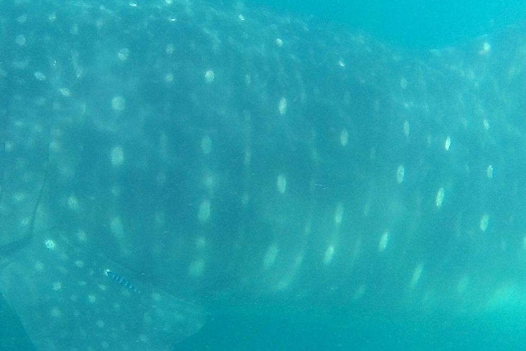 7a8b64cf-08bb-47f0-84c8-70fbb7556445