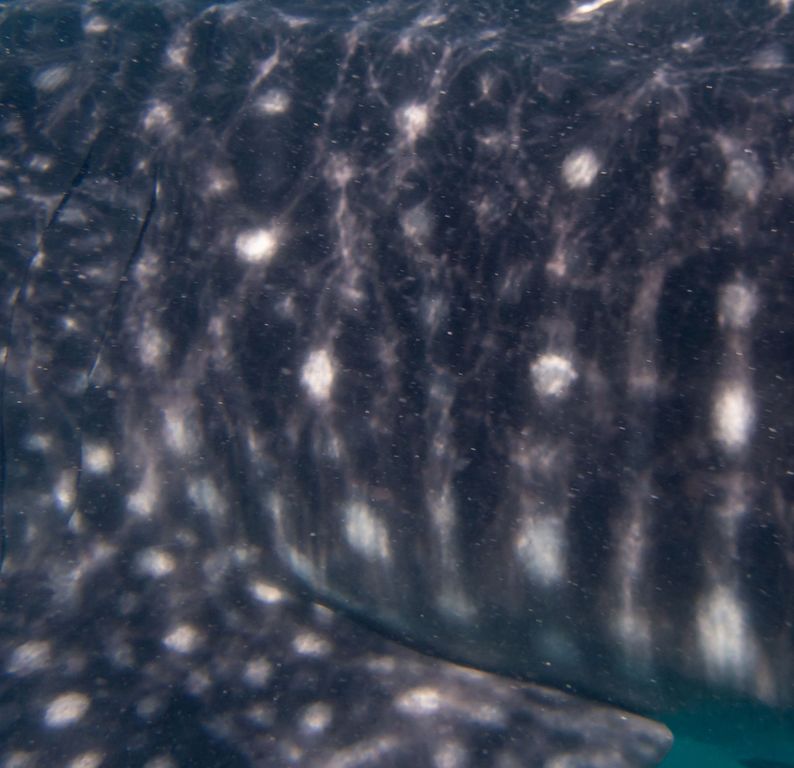 60c0ff04-7255-4ffb-b774-129353bc8cbf