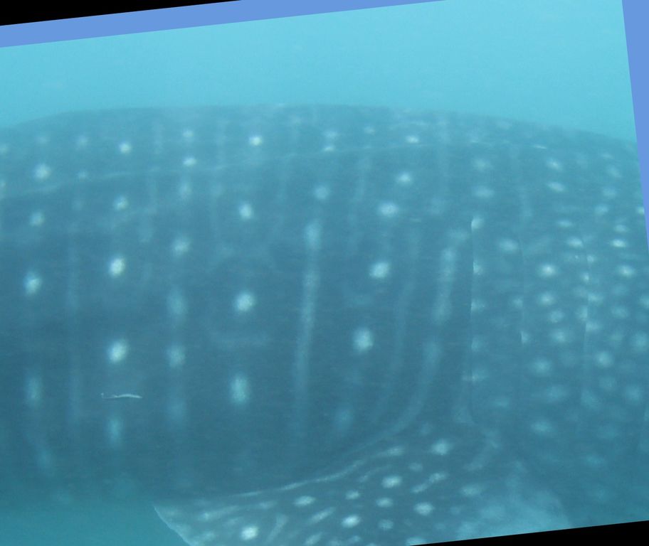 9b536509-7ec1-4395-aa57-9d39c2379bed