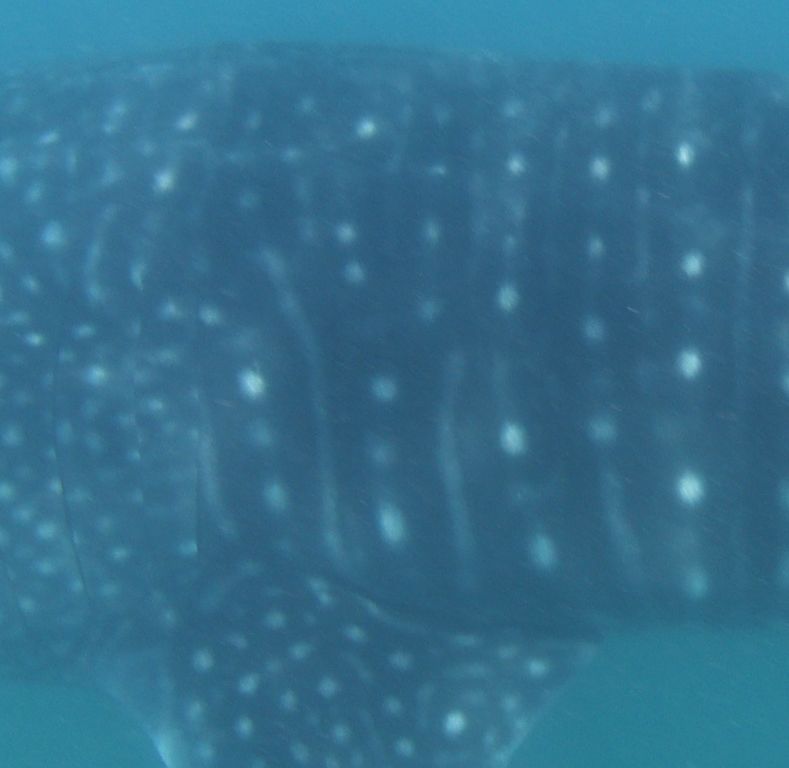 9b536509-7ec1-4395-aa57-9d39c2379bed