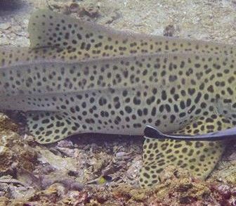 b3a5556b-e2ab-4b45-bae5-42b715ba93c1