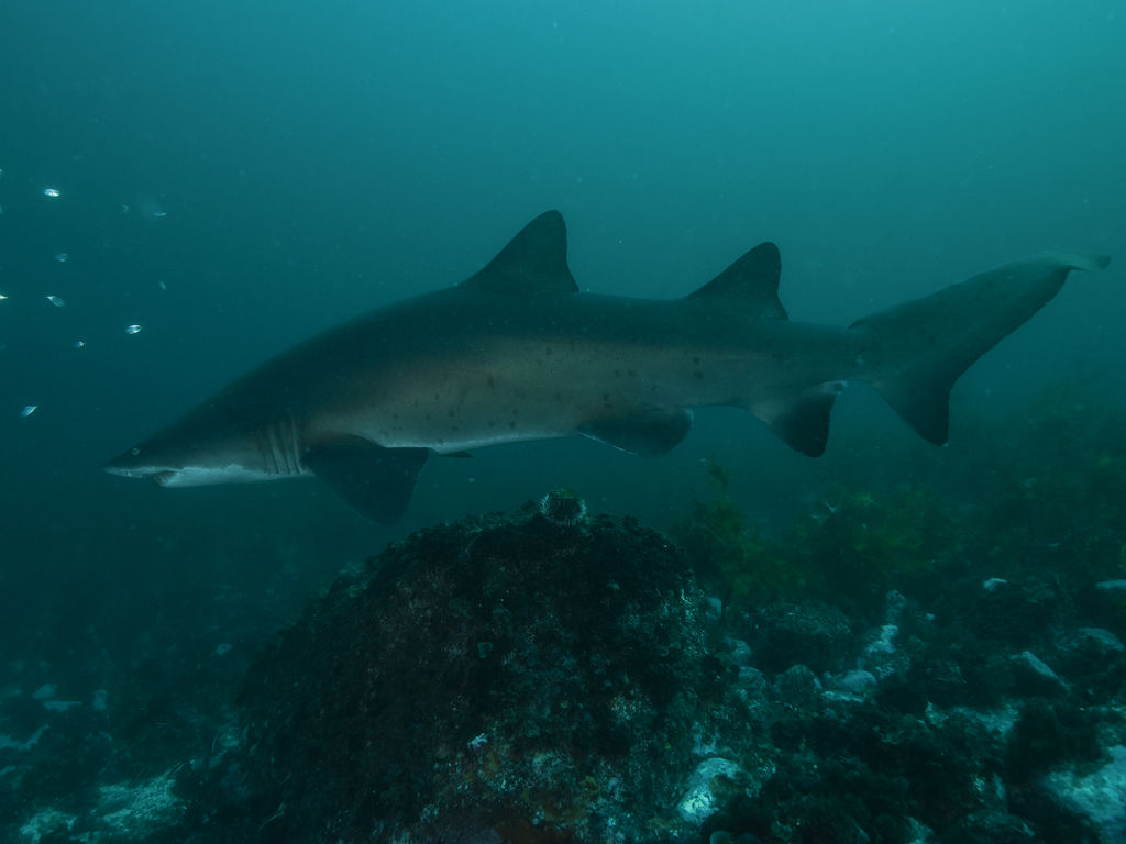 f2189993-56c1-4f57-8bbd-160928eb9928