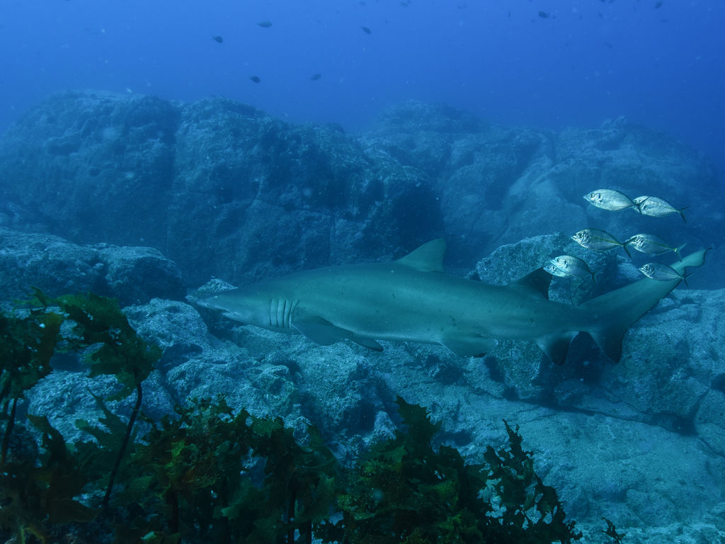 a661ab39-564d-4239-b746-a3870a89bcbb