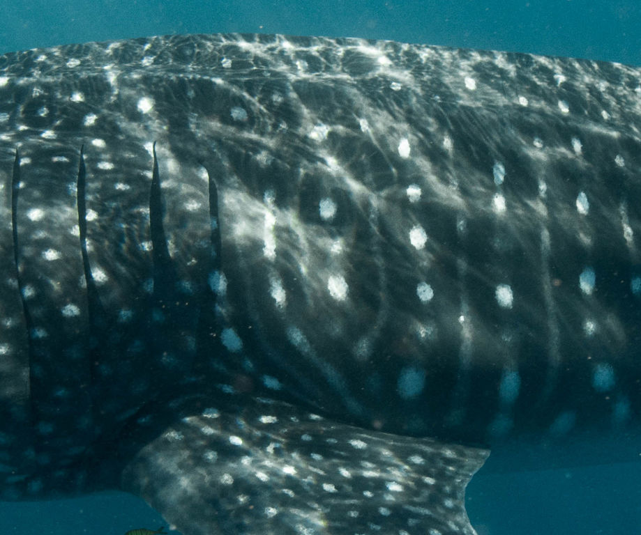 4e4b4978-7460-46eb-b4ec-d1bb3680706c