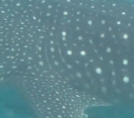 6bb35f61-b24e-4b6d-9b2e-94a9e6c22c82