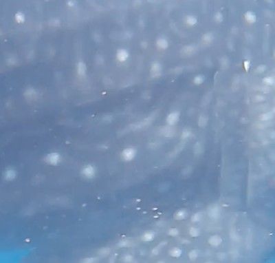 39774764-062b-46ad-883b-e929c347484d